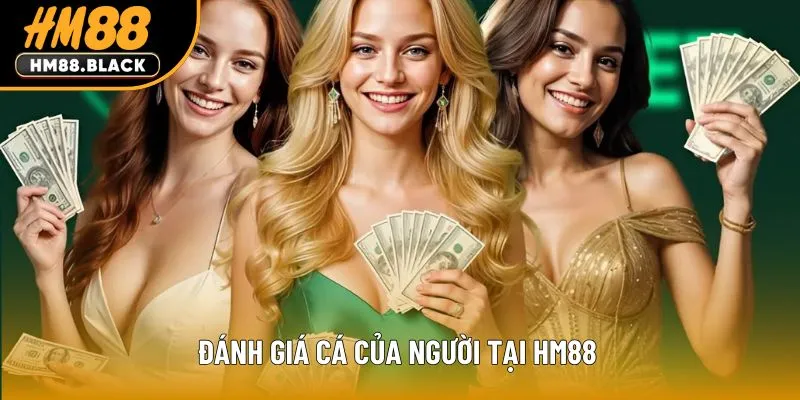 Đánh giá giá của người chơi tại HM88