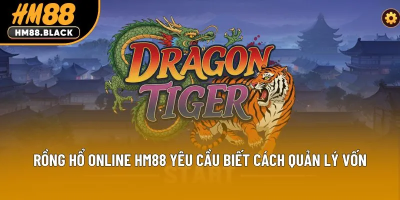 Rồng Hổ Online HM88 yêu cầu biết cách quản lý vốn
