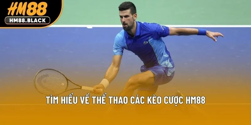 Tìm hiểu về thể thao các kèo cược HM88